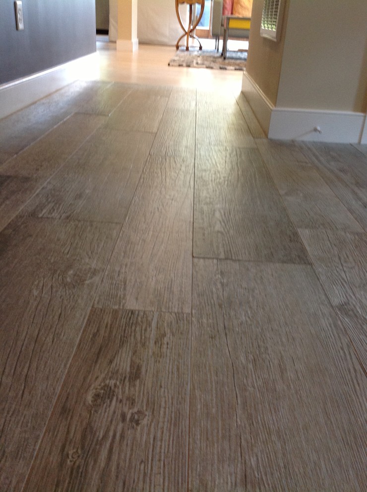 Tile That Looks Like Hardwood Entry Transitional with Front Entry Gray Hallway