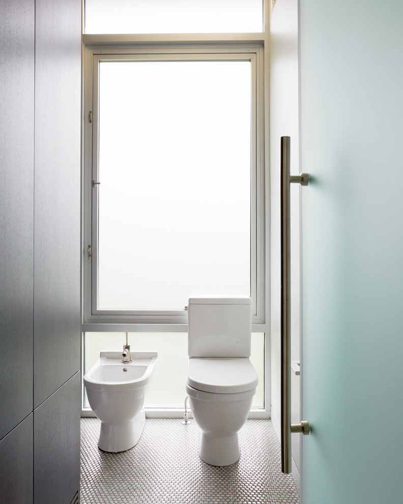 Toilet Bidet Combo Bathroom Contemporary with Aluminum Bathroom Tile Bidet
