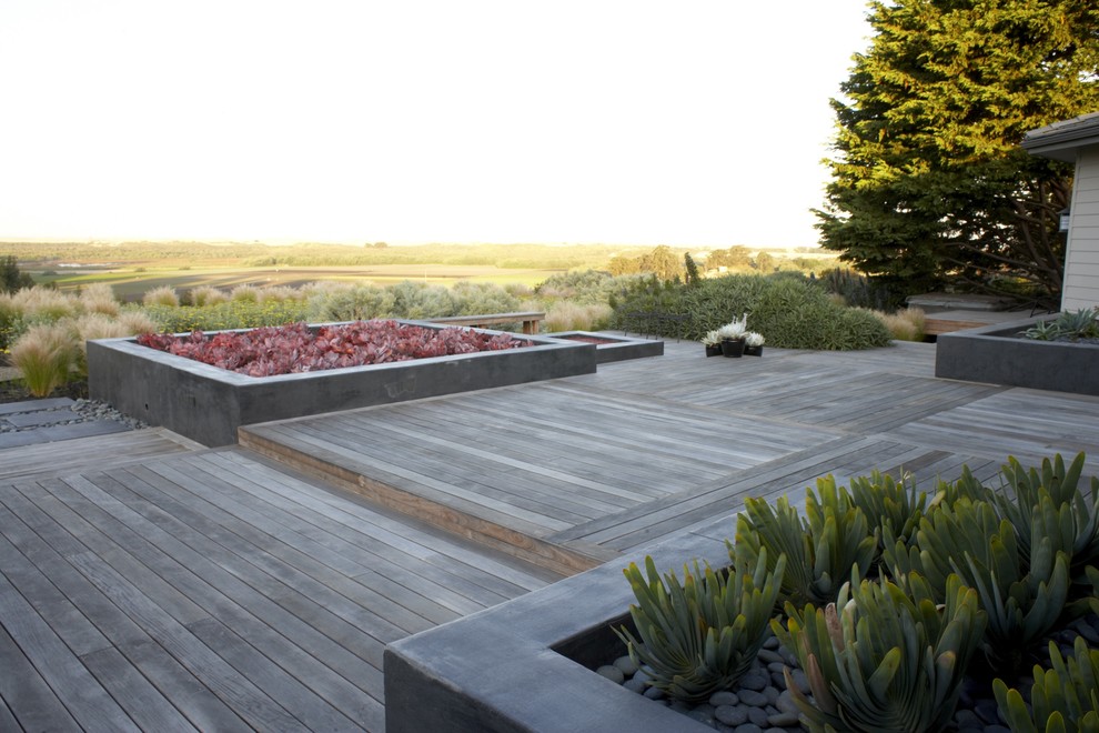 Trex vs Wood Deck Asian with Container Plant Deck Geometric