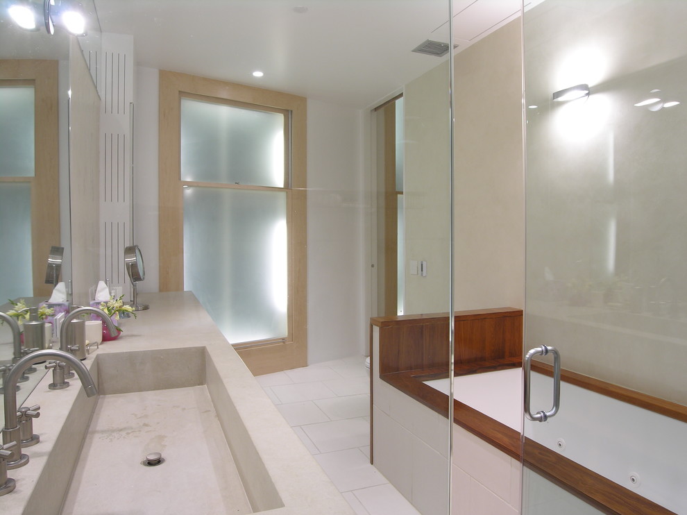 Trough Style Sink Bathroom Modern with Double Sinks Integrated Sink