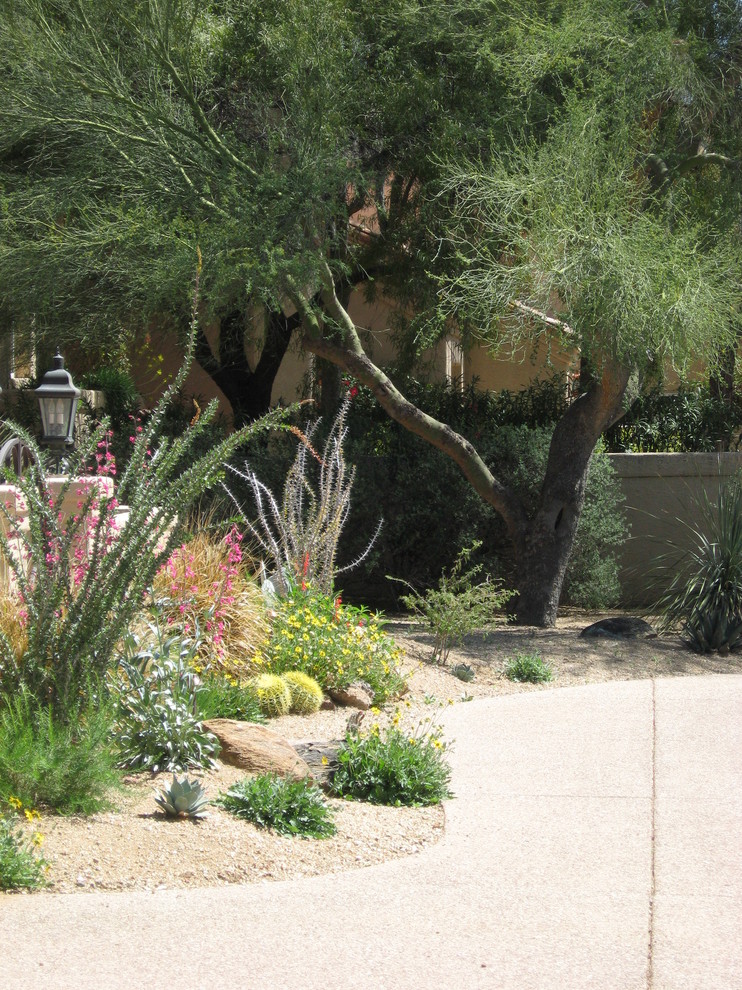 Tucson Landscape Design Landscape Mediterranean with Agave Az Colorful Desert4