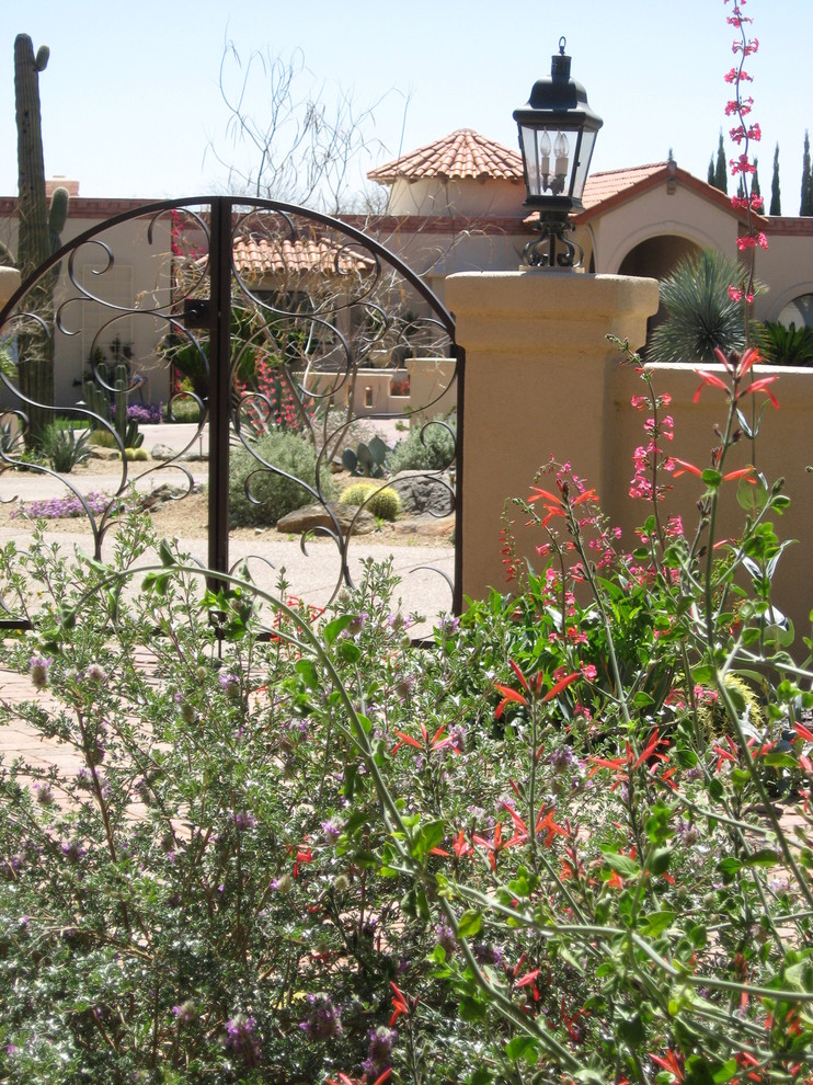 Tucson Landscape Design Landscape Traditional with Arched Entry Arizona Cactus
