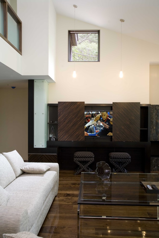 Tv Cabinets with Doors to Hide Tv Living Room Modern with Clerestory Dark Floor Glass