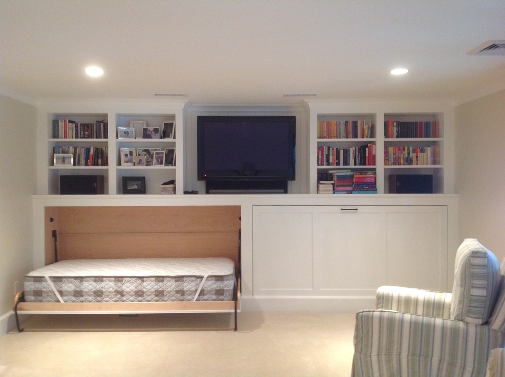 Twin Murphy Bed Basement Transitional with Basement Renovation Horizontal Murphy