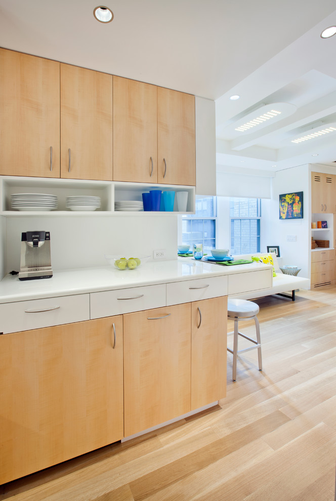 Under Cabinet Appliances Kitchen Contemporary with Apartment Cabinetry Contemporary Entry
