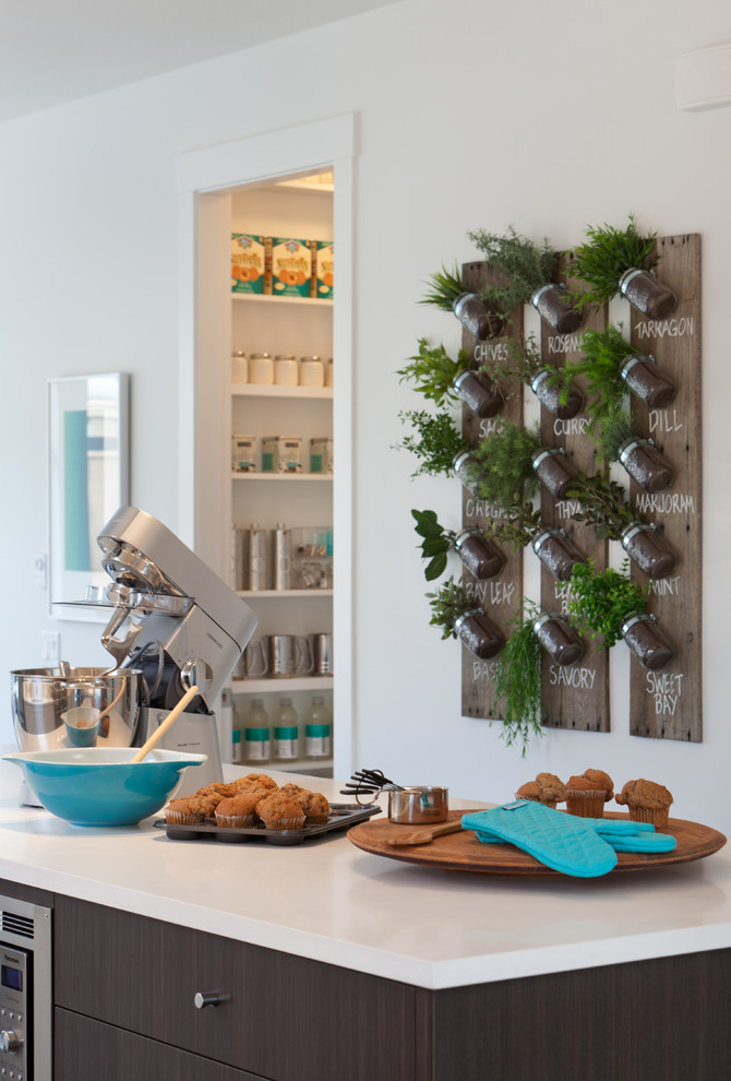 Unique Cookie Jars Kitchen Contemporary with Dark Wood Flat Panel