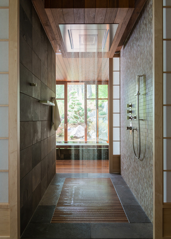 Walk in Shower Kits Bathroom Contemporary with Ceiling Shower Contemporary Design
