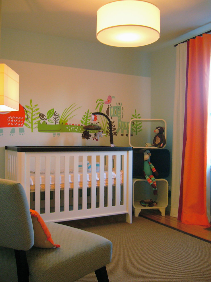 Wall Murals Ideas Nursery Contemporary with Accent Colors Area Rug