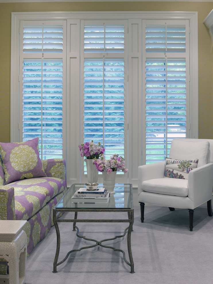 What Are Plantation Blinds Living Room Traditional with Area Rug Chic Classic