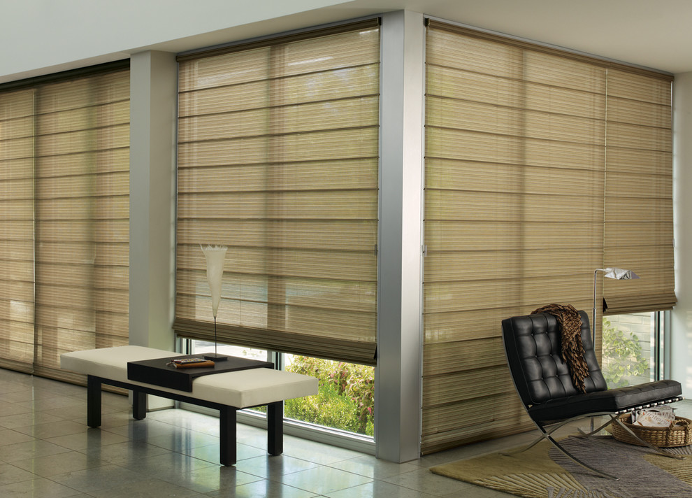 Window Coverings for Patio Doors Spaces Eclectic with Hunter Douglas Patio Door3
