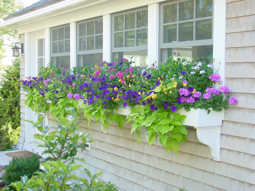 Window Flower Boxes Landscape Traditional with Backyard Retreat Beach Home