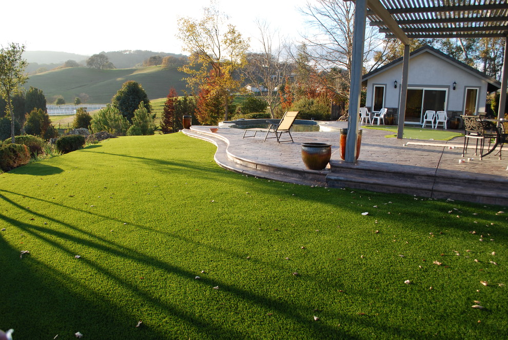 Wood and Tile Floors Landscape Traditional with Artificial Grass Artificial Turf