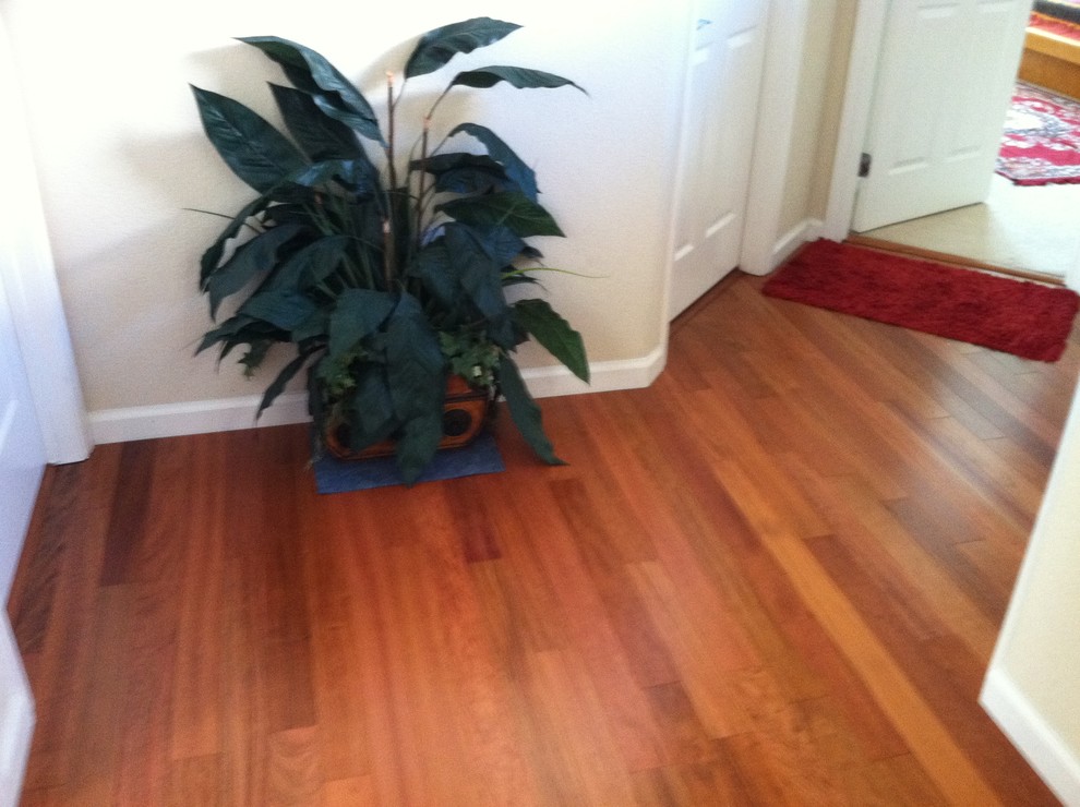 Wood Floor Paint Hall Traditional with Hallway Outside Bedrooms 