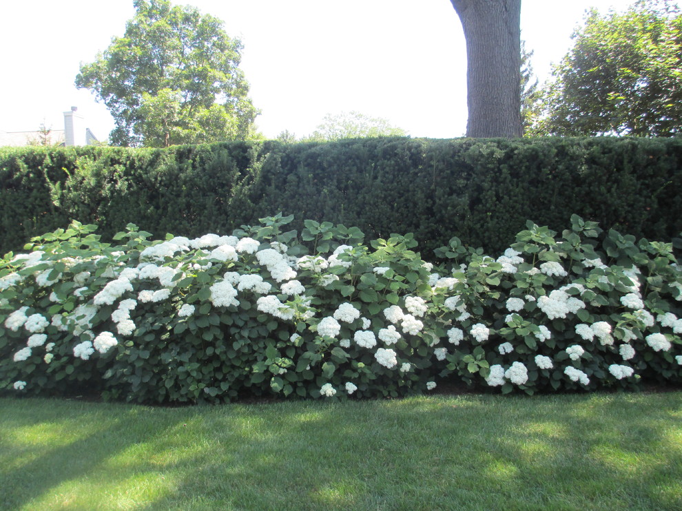 Wood Retaining Wall Landscape with Annabelle Hydrangea Border 