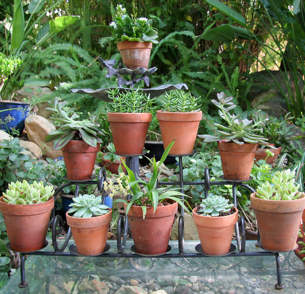 Wrought Iron Candle Holders Landscape Mediterranean with Repurposed Planter Succulents Succulents