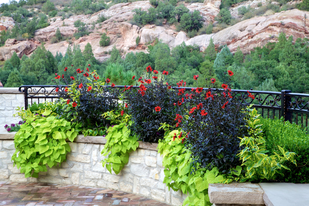 Wrought Iron Fence Designs Landscape Mediterranean with Black Fence Black Leaves