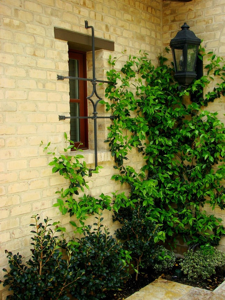 Wrought Iron Window Decor Landscape Mediterranean with Brick Wall Climbing Plants
