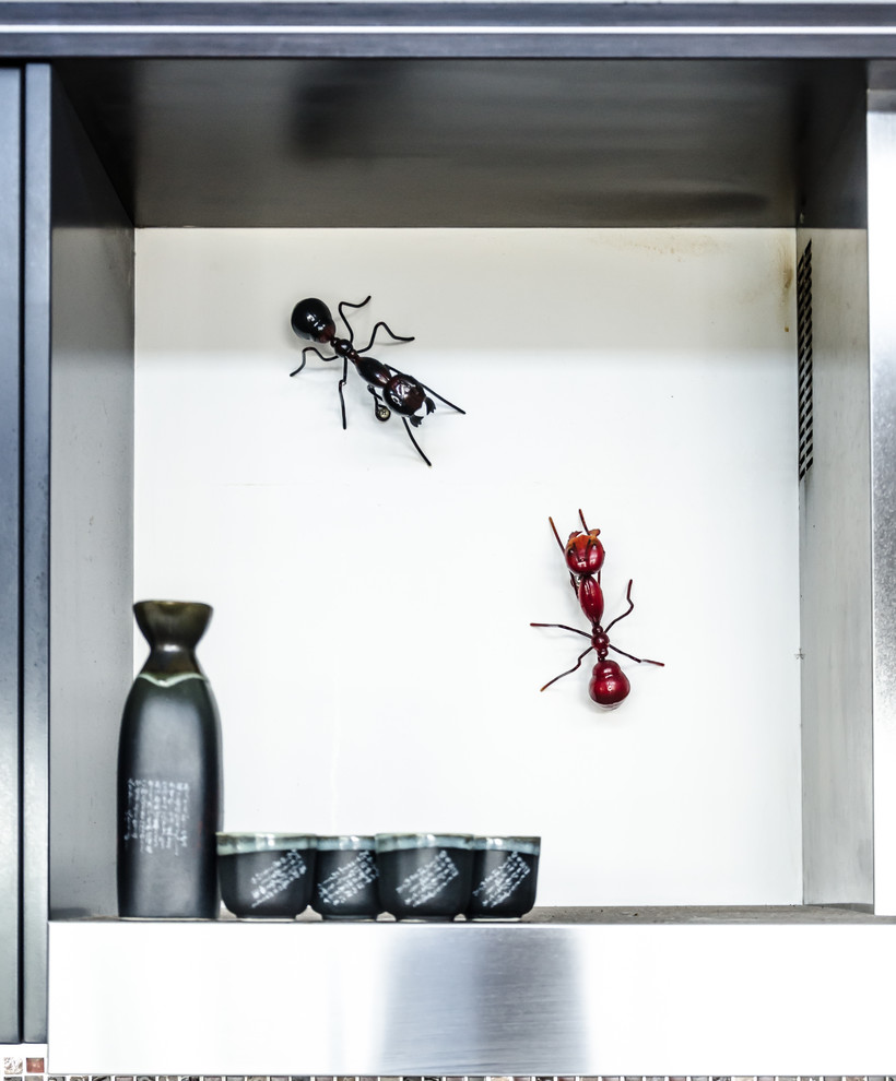 Get Rid of Ants in Kitchen Spaces Tropical with Ants 