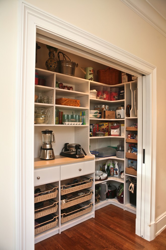 How to Get Rid of Ants in Kitchen Kitchen Traditional with Appliance Shelf Converted Closet