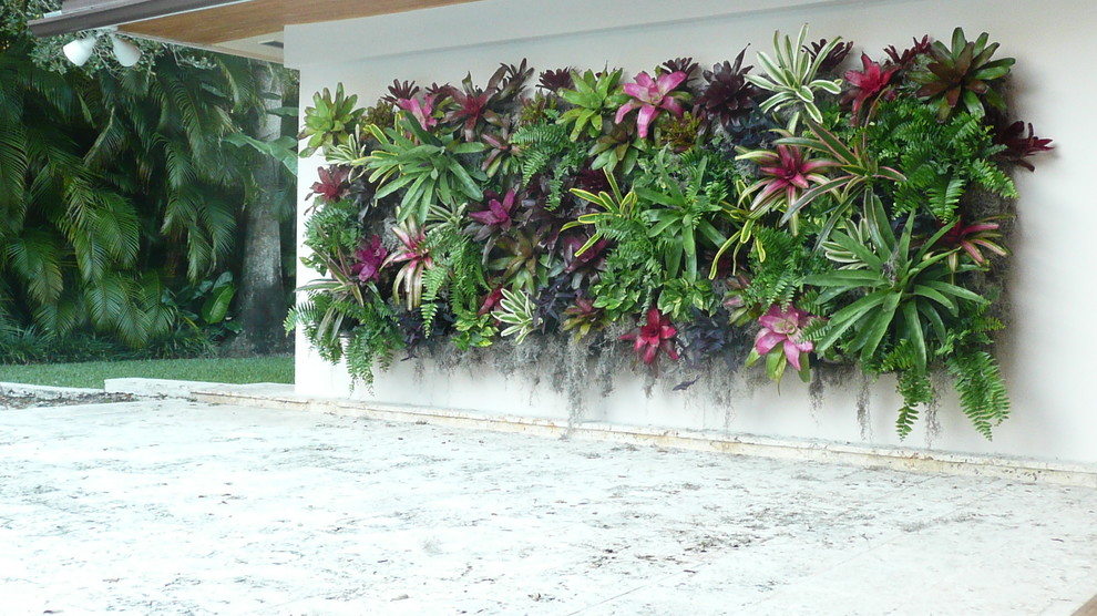 Ina Garten Kitchen Landscape Tropical with Colorful Plants Concrete Eaves