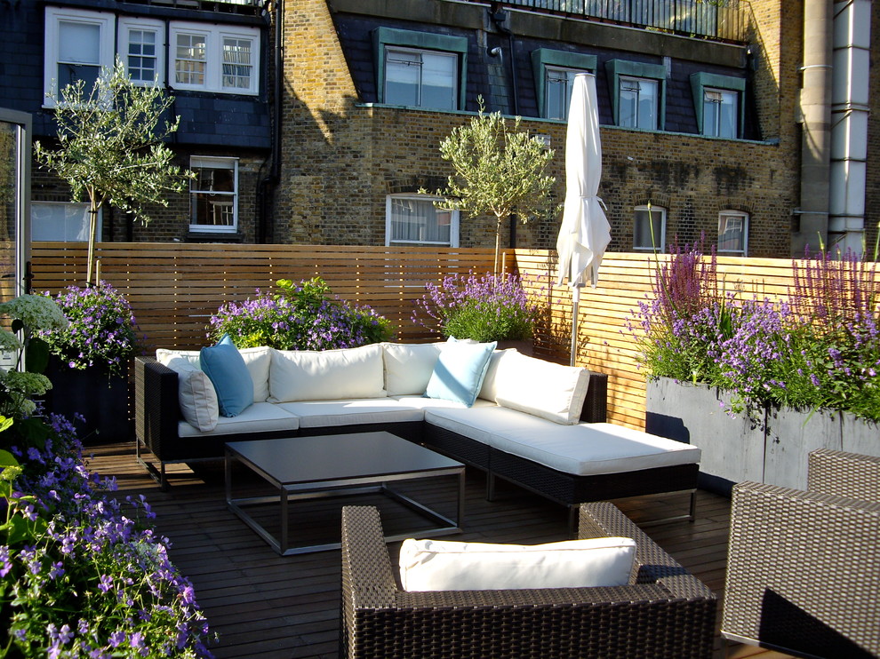 Modular Outdoor Kitchens Deck Contemporary with Agapanthus Containers Contemporary Flower