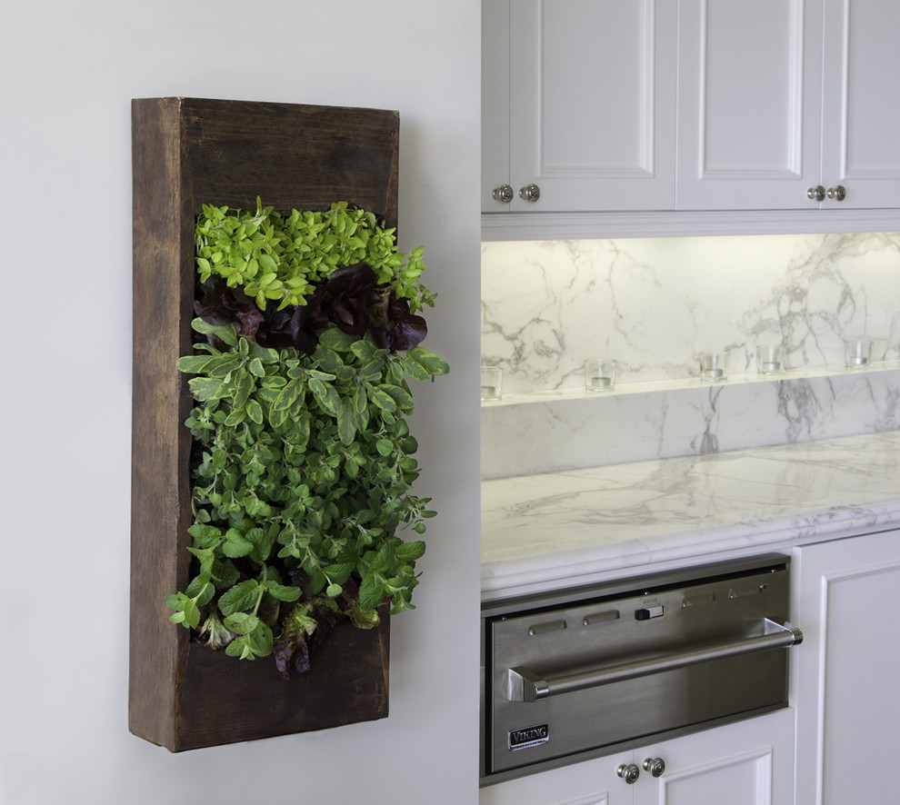 Salvaged Kitchen Cabinets Kitchen Contemporary with Frame and Panel Cabinets