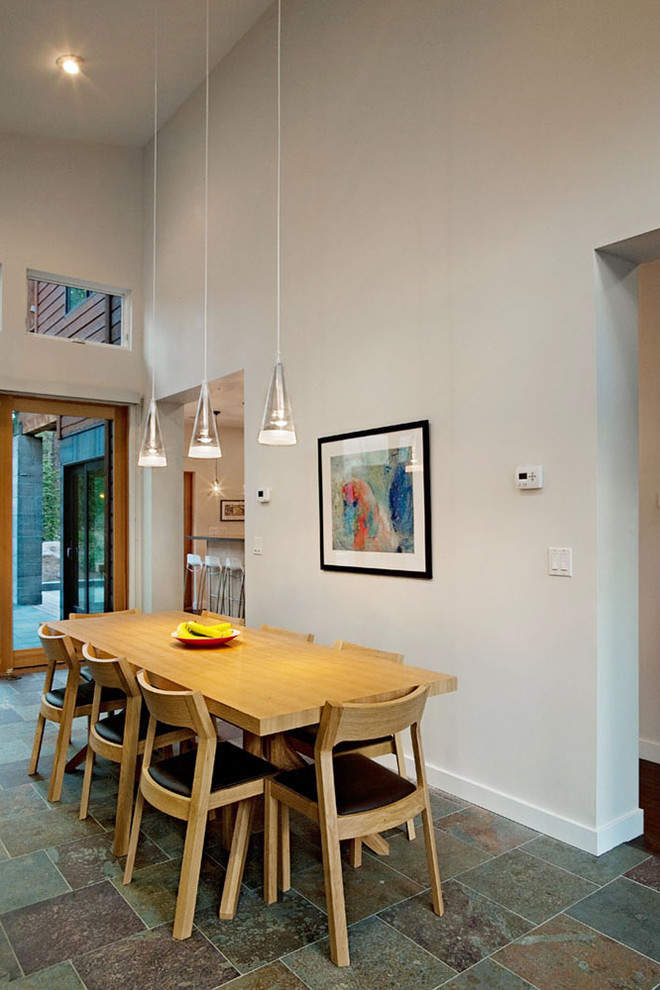 Slate Floors  for Contemporary Dining Room with Tile Floor