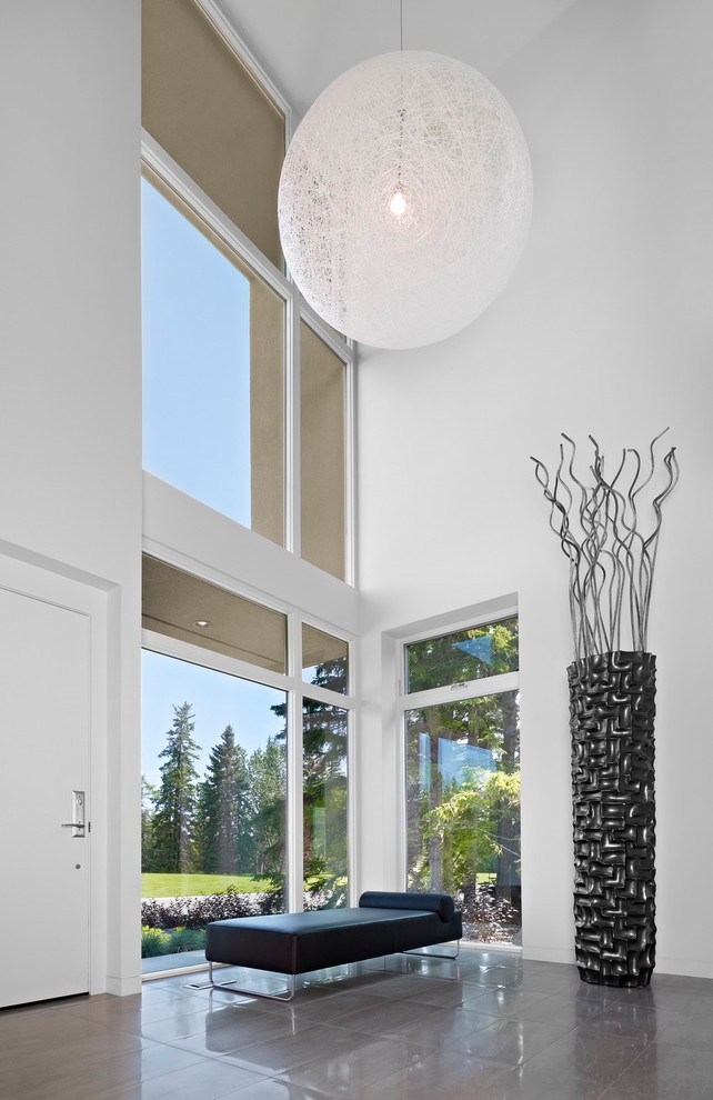 Sticks in Vase  for Modern Entry with Two Story