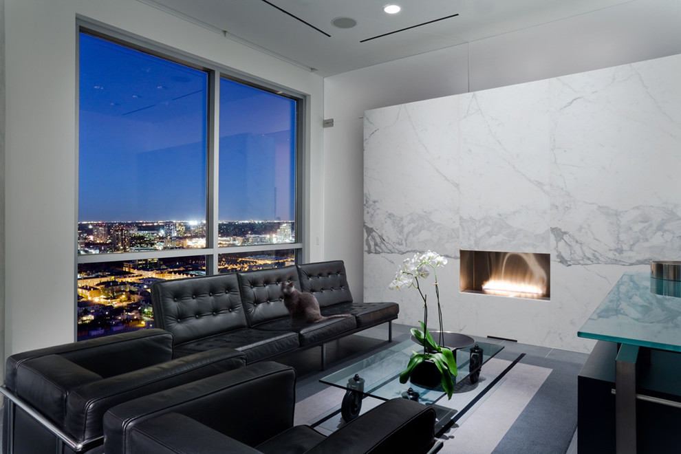 Train Murals  for Contemporary Living Room with Orchid