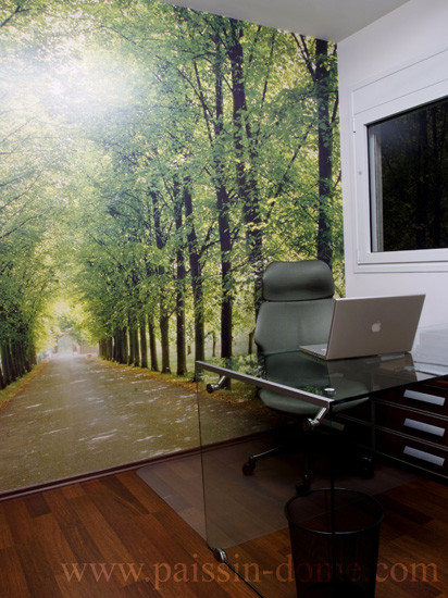 Train Murals  for Modern Home Office with Wood Floor