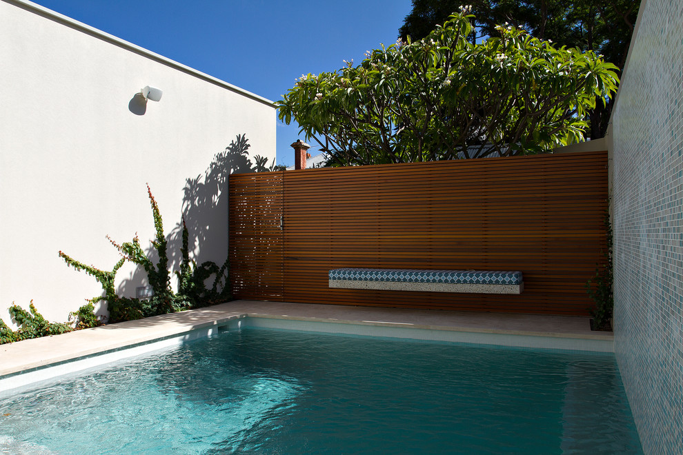 Pool Floats for Contemporary Pool with Stucco Wall