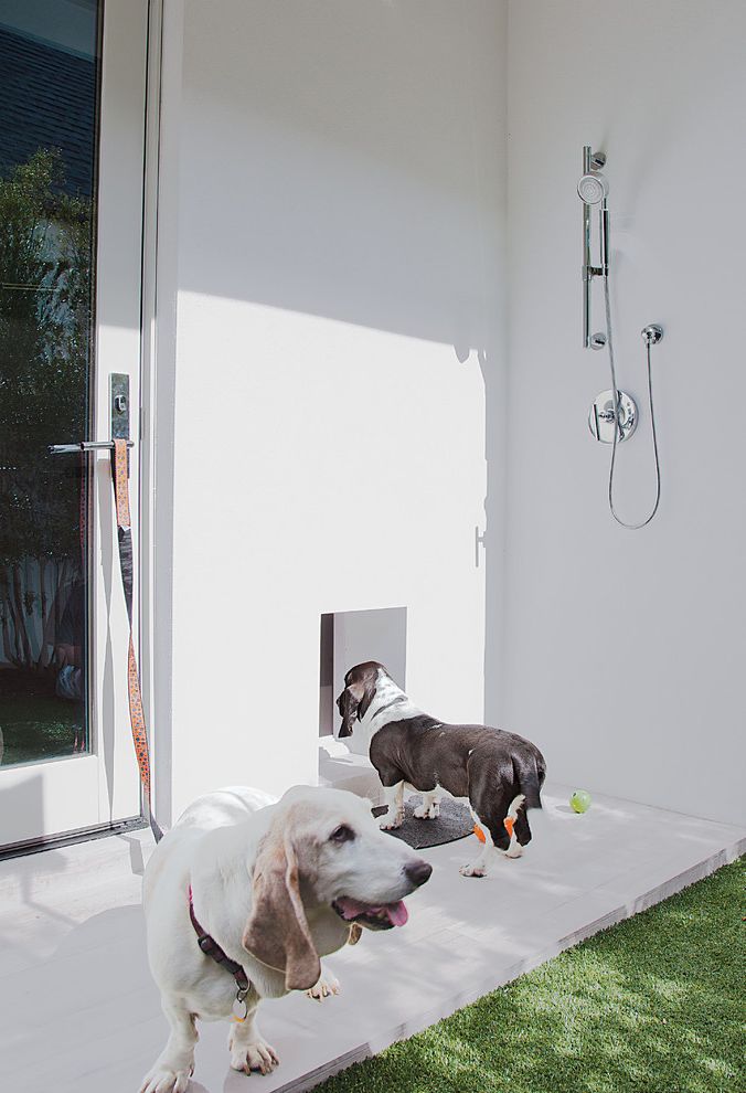Best Small Animal Pets with Contemporary Patio Contemporary