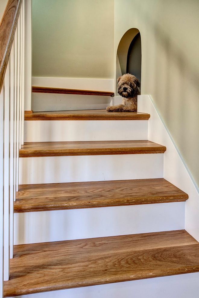 Best Small Animal Pets with Craftsman Staircase Arched Opening