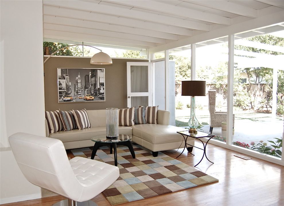 Black and White Checkered Area Rug with Contemporary Living Room Gray