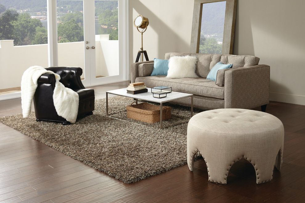 Cheap Area Rugs 8x10 with Contemporary Living Room Gray Shag Rug