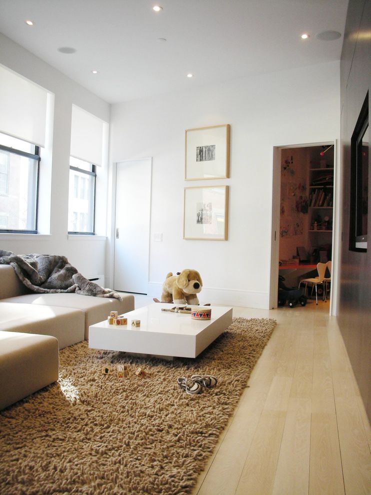 Costco Shag Rugs with Scandinavian Family Room Coffee Table