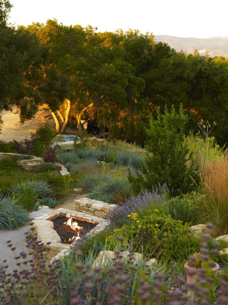 Craigslist El Paso Furniture with Contemporary Landscape Drought Tolerant