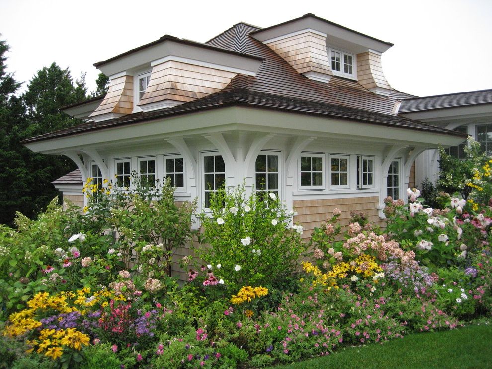 Edible Flowers List with Victorian Exterior Rudebeckia
