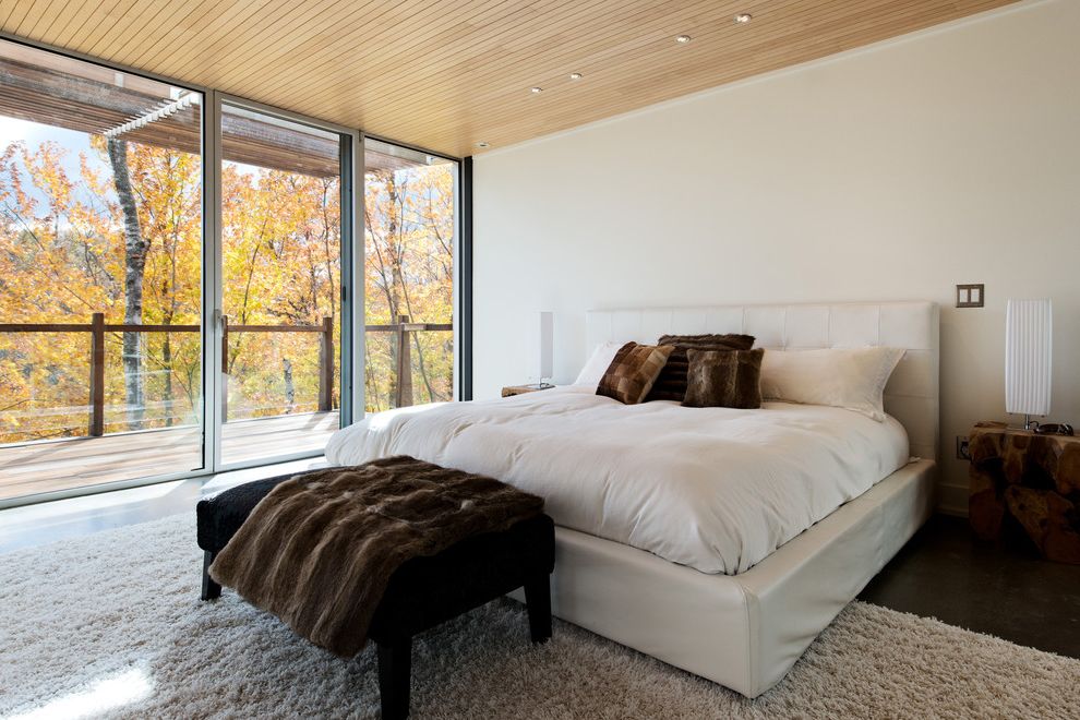 Fake Fur Throws with Contemporary Bedroom Roof Overhang