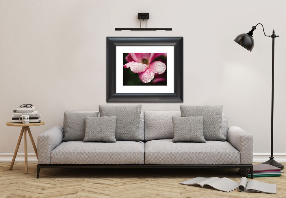 Floras Auto Sale with Traditional Spaces Art