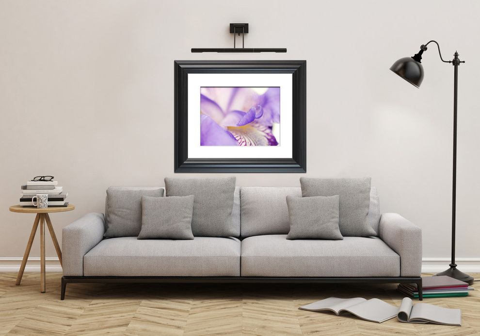 Floras Auto Sale with Traditional Spaces Art