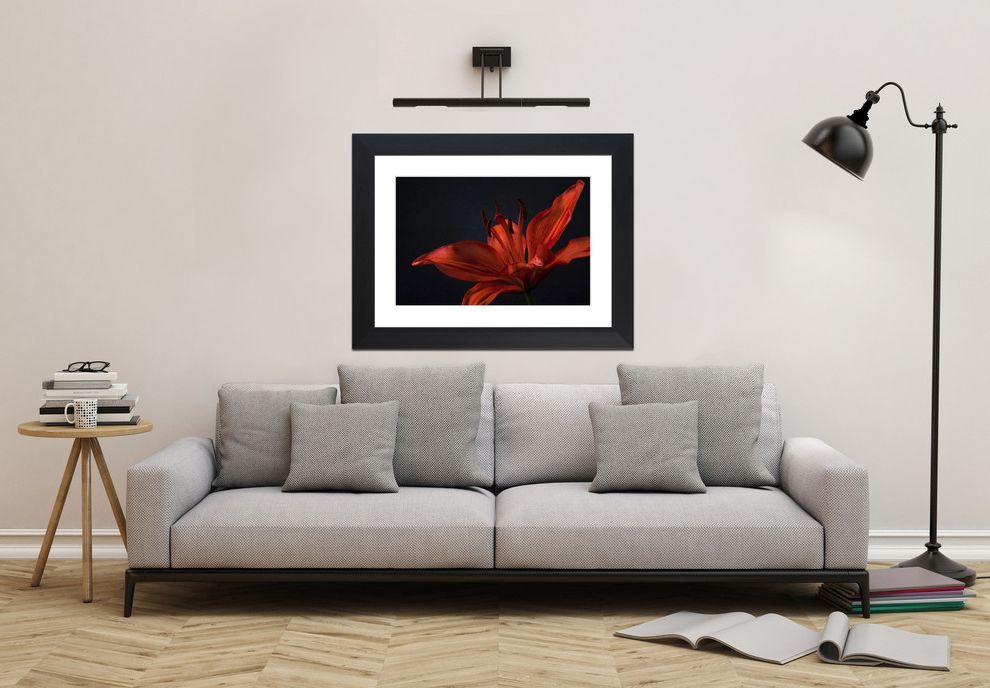 Floras Auto Sale with Traditional Spaces Flora Decor