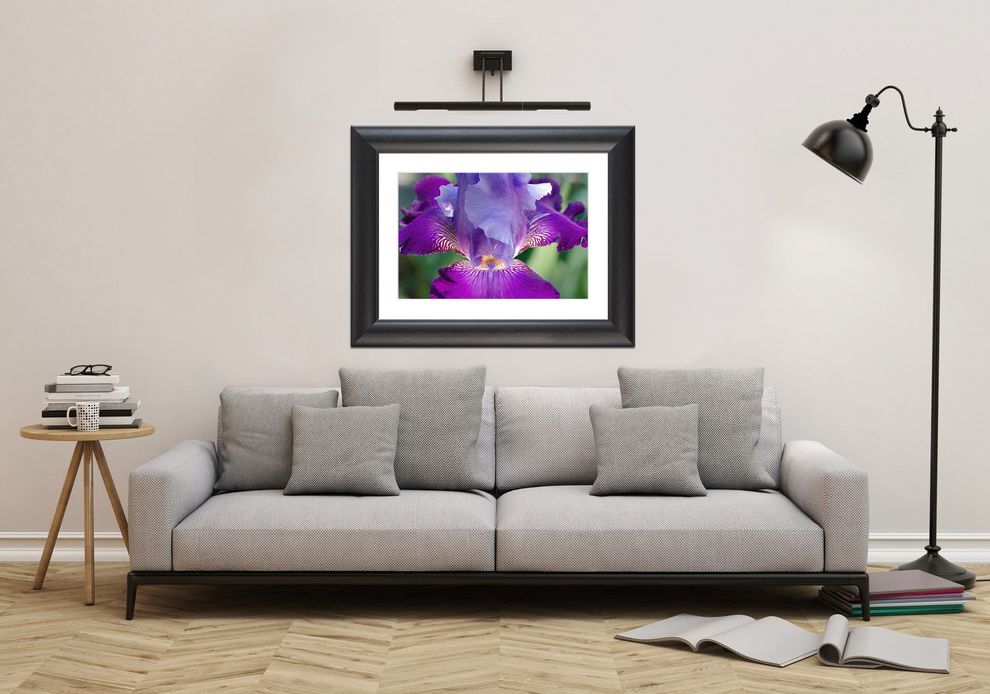 Floras Auto Sale with Traditional Spaces Nature Photo Prints