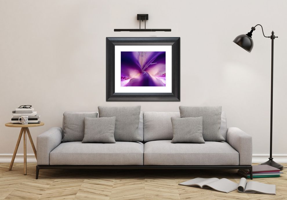 Floras Auto Sale with Traditional Spaces Photography