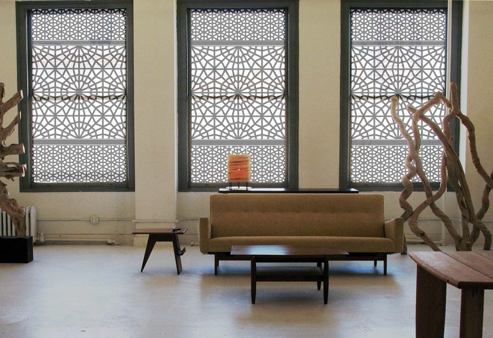 Inexpensive Window Shades with Contemporary Living Room Women Owned Businesses