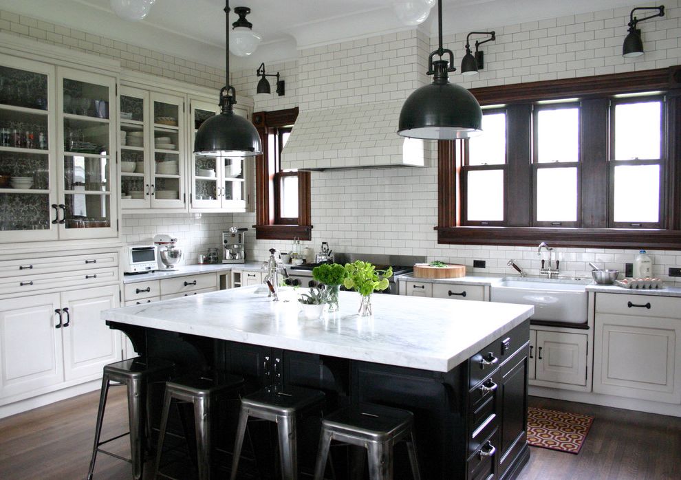 Long Neck Dinosaurs with Traditional Kitchen Stainless Steel Appliances