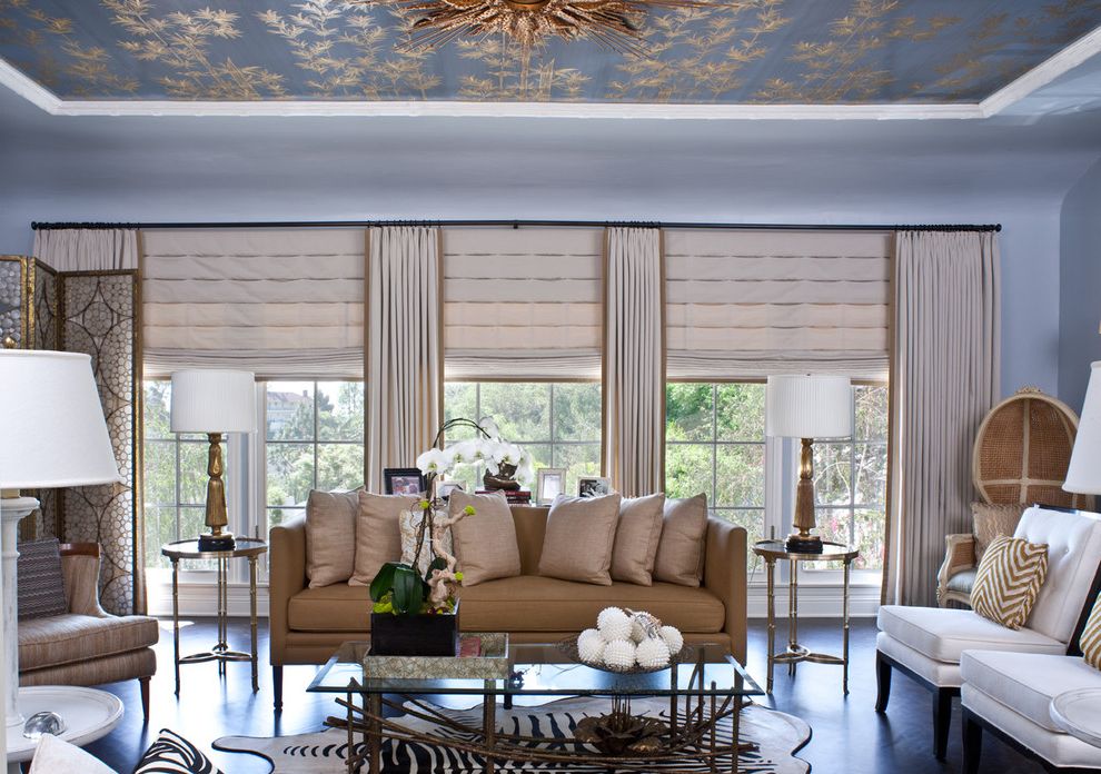 Long Neck Dinosaurs with Transitional Living Room Tray Ceiling