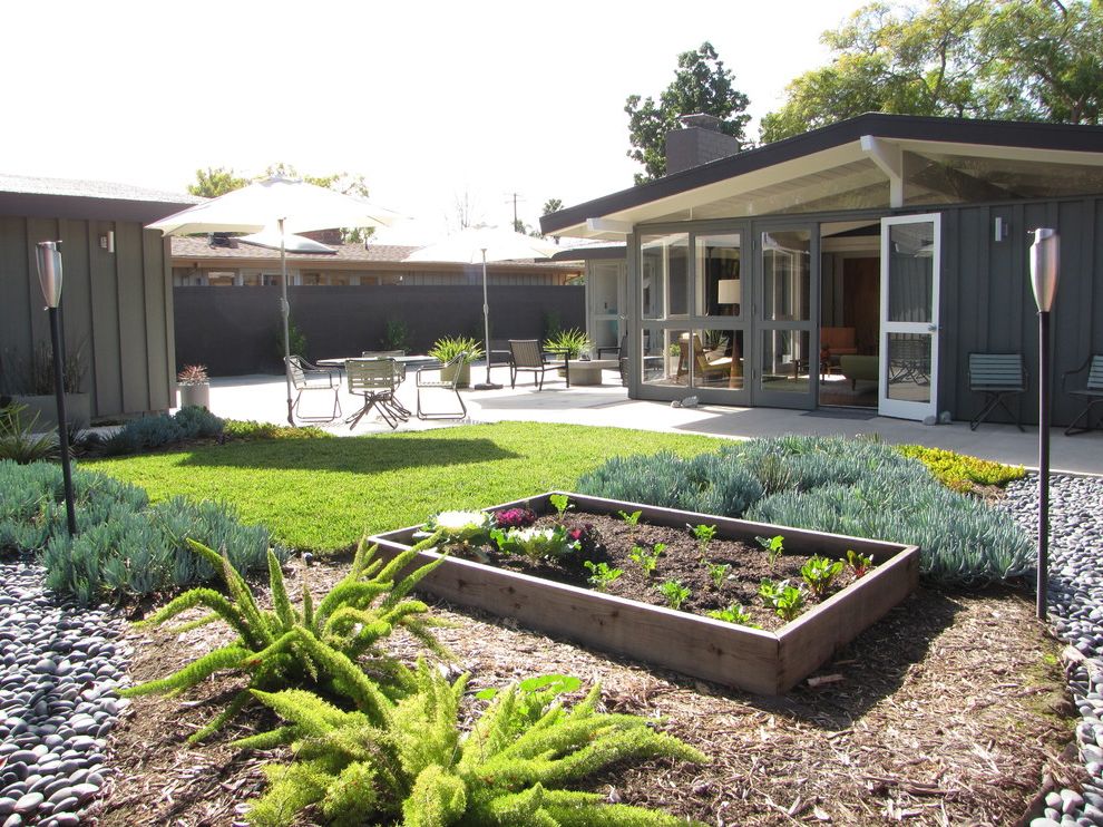 Patio Set with Midcentury Landscape Succulents
