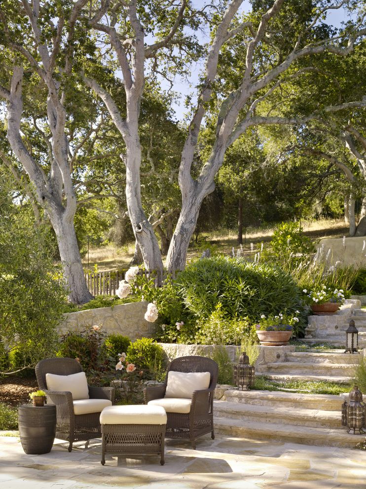 Patio Set with Traditional Landscape Shade Tree