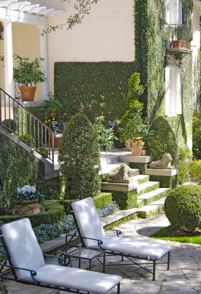 Patio Set with Traditional Patio Climbing Plants